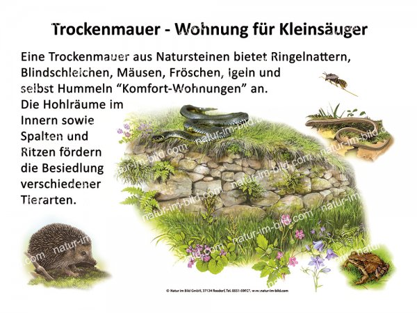 Trockenmauer