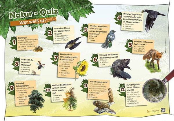 Natur-Quiz