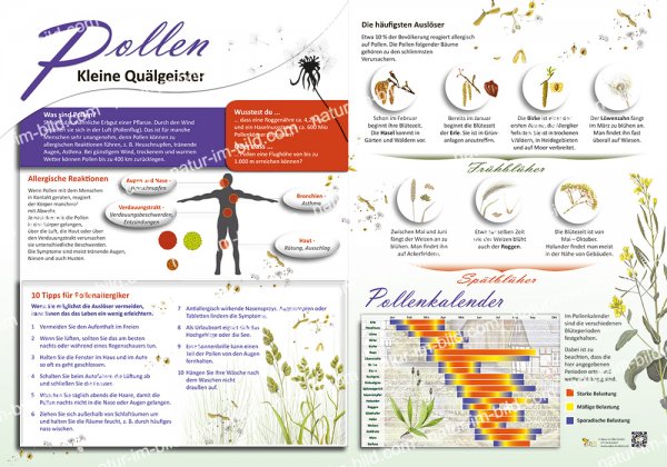 Pollen - Kleine Quälgeister