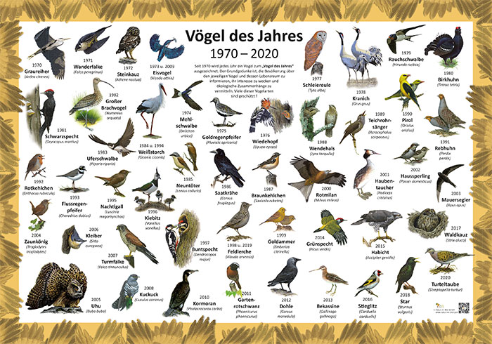 Wie Viel Vögel Gibt Es Auf Der Welt shop.natur-im-bild.com