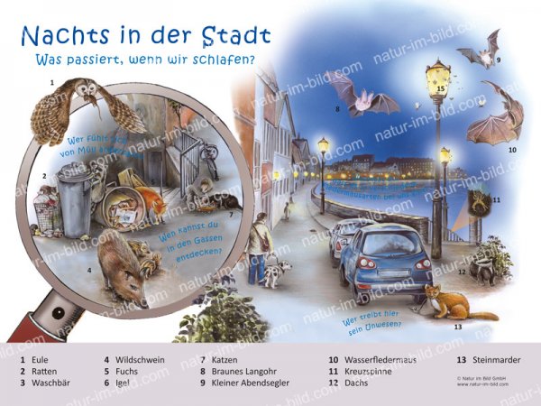 Nachts in der Stadt - Was passiert, wenn wir schlafen?