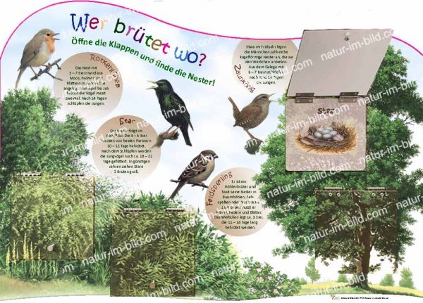 Wer brütet wo? Lehrtafel mit 4 Klapptafeln