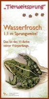 Tierweitsprung Wasserfrosch