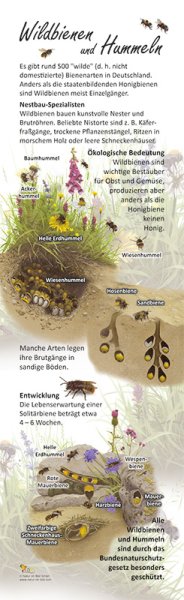 Wildbienen und Hummeln, 21 x 70 cm