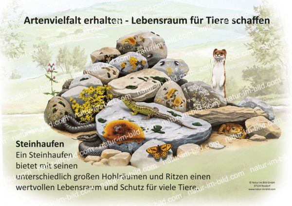 Artenvielfalt erhalten - Nisthilfen für Tiere schaffen - Steinhaufen
