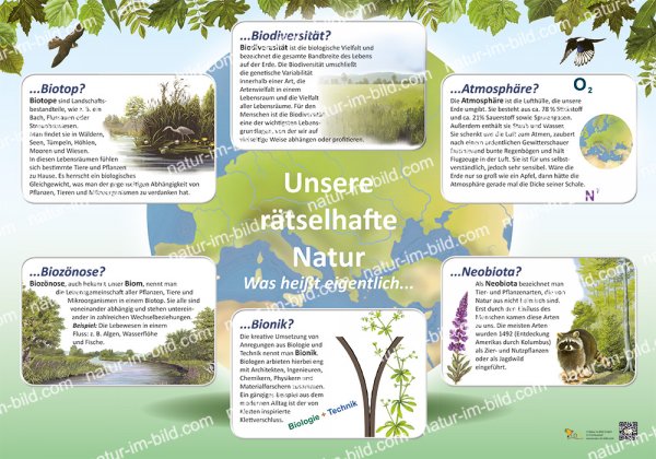 Unsere rätselhafte Natur
