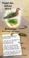 Bekassine - Vogel des Jahres 2013