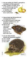 Igel - Quiz