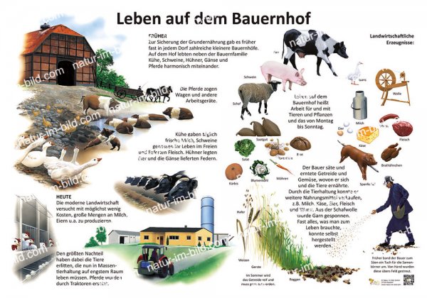 Leben auf dem Bauernhof