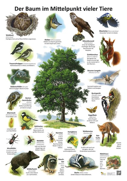 Der Baum im Mittelpunkt vieler Tiere