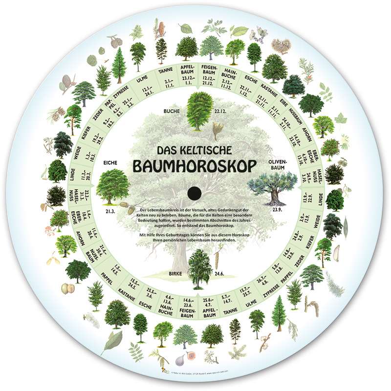 Das keltische Baumhoroskop | Rundtafeln | Runde Lehrtafeln | Natur im Bild  Lehrtafeln fr Natur-, Lehr- oder Lernpfade