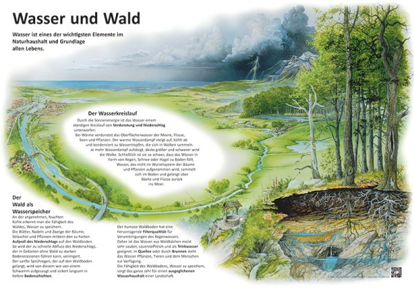 Wasser und Wald