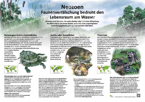 Neozoen