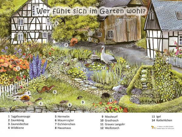 Wer fühlt sich im Garten wohl