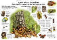 Tarnen und Täuschen - Überlebensstrategien