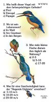 Eisvogel - Quiz