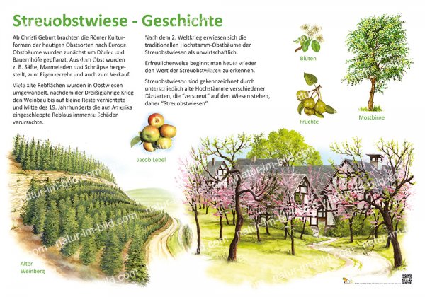 Streuobstwiese - Geschichte