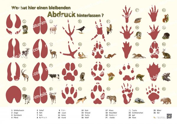Wer hat hier einen bleibenden Abdruck hinterlassen?