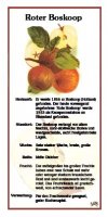 Roter Boskoop