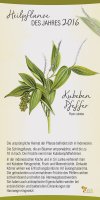 2016 Kubeben Pfeffer