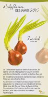 2015 Zwiebel