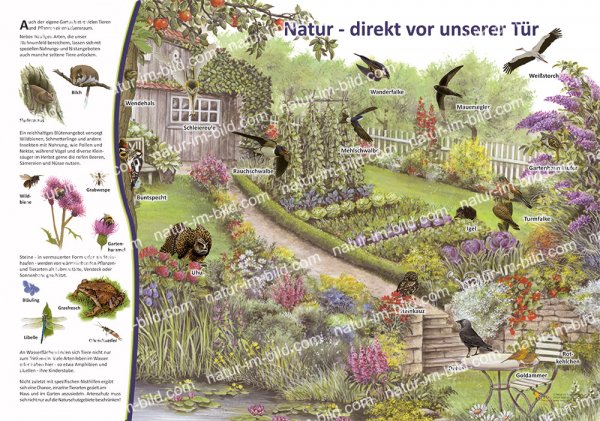 Natur - direkt vor unserer Tür