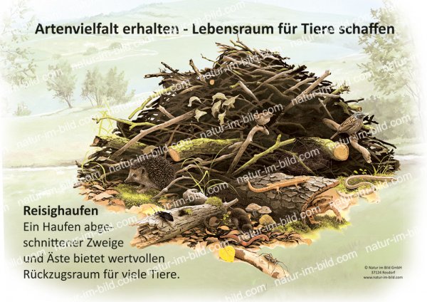 Artenvielfalt erhalten - Lebensraum für Tiere schaffen - Reisighaufen