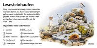 Lesesteinhaufen