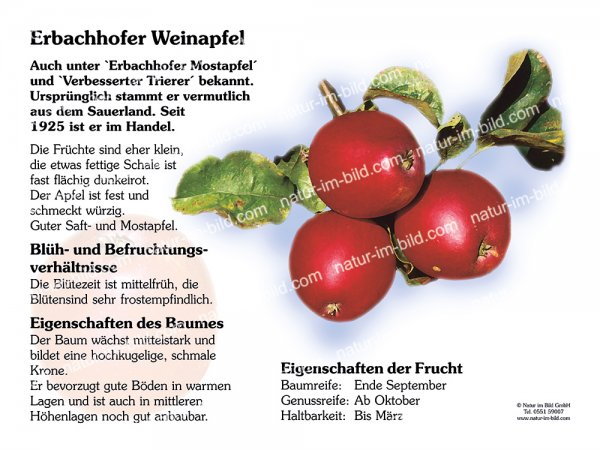 Erbachhofer Weinapfel
