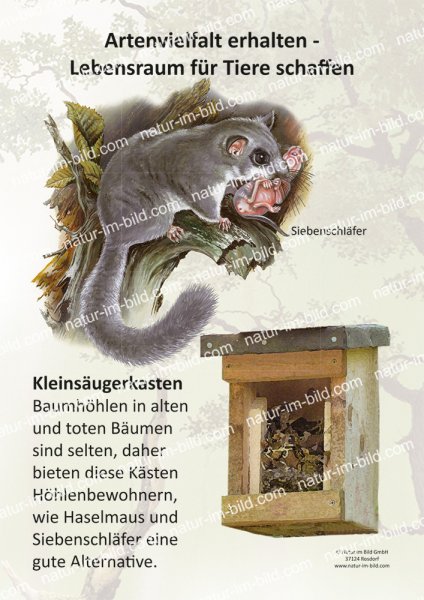 Nisthilfe für Tiere - Kleinsäugerkasten