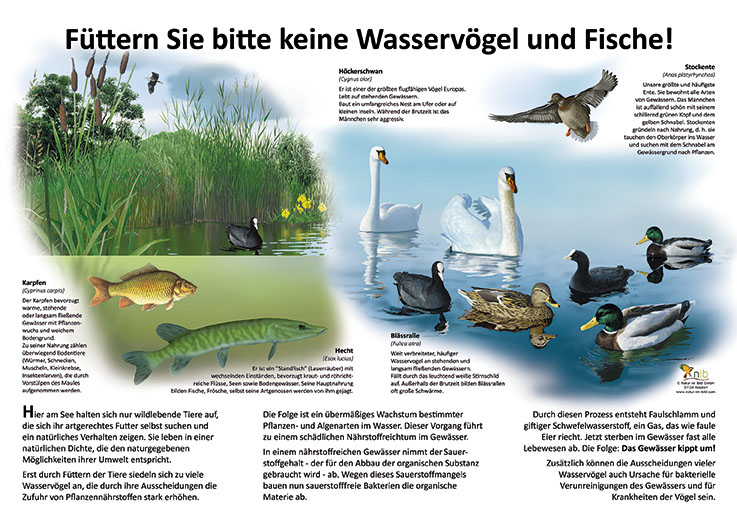 GUGULUZA Lockente Motor - Elektrischer Köder Für Wasservogel-Jagd