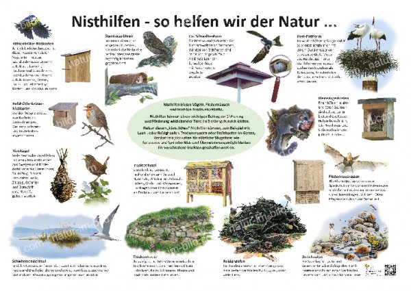 Nisthilfen - So helfen wir der Natur