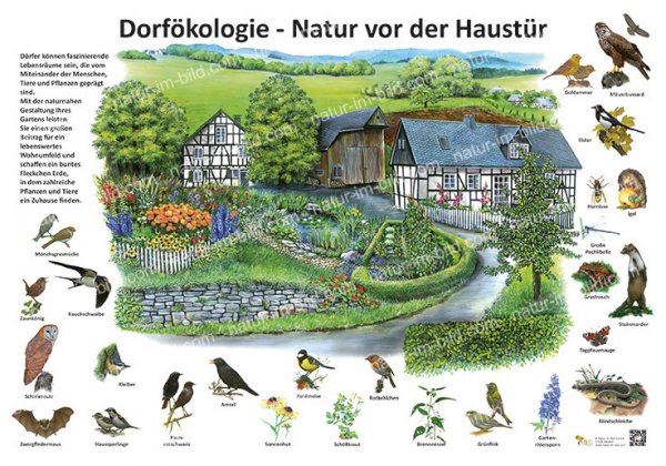 Dorfökologie - Natur vor der Haustür