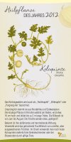 2012 Koloquinte