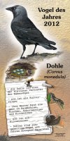 Dohle - Vogel des Jahres 2012