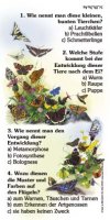 Schmetterlinge - Quiz