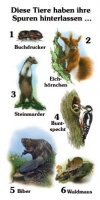 Diese Tiere haben ihre Spuren hinterlassen ...