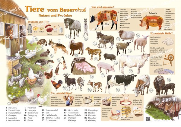 Tiere vom Bauernhof - Nutzen und Produkte