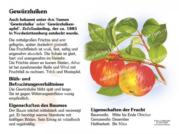 Gewürzluikenapfel
