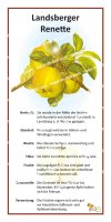 Landsberger Renette