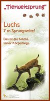 Tierweitsprung Luchs