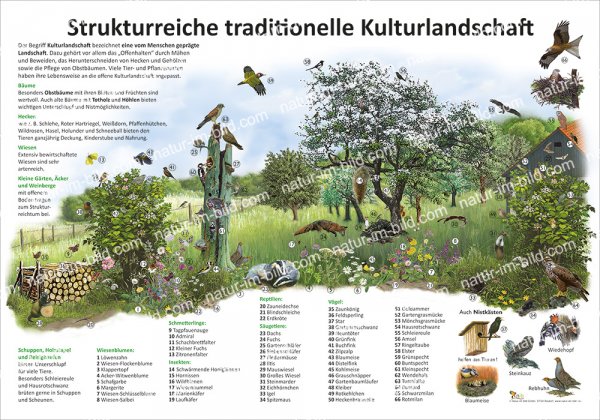 Strukturreiche, traditionelle Kulturlandschaft
