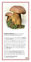 Gallenröhrling