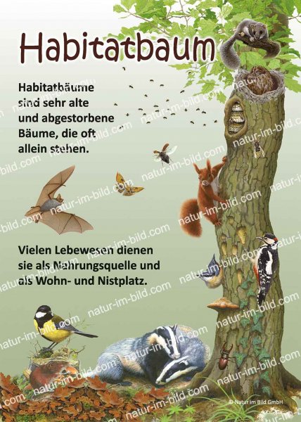 Habitatbaum