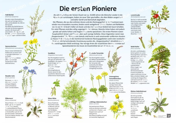 Die ersten Pioniere