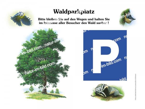 Waldparkplatz