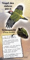 Grünspecht - Vogel des Jahres 2014