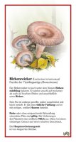 Birkenreizker