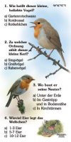 Rotkehlchen - Quiz