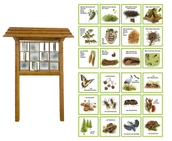 Drehtafel-Modell - Tiere und Pflanzen 1
